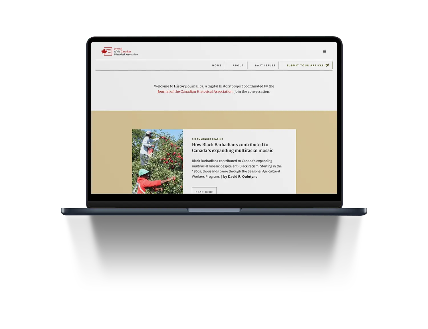 Web design mockup